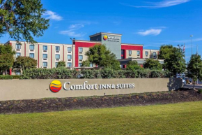 Гостиница Comfort Inn & Suites Knoxville West  Кноксвилл